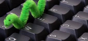 İnternet Solucanı Nedir ve Tehlikeli midir?