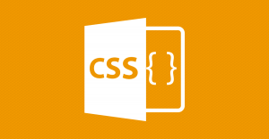 CSS