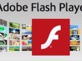 Adobe Flash SWF Dosyaları Nasıl İndirilir?