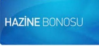 Hazine Bonosu Nedir?