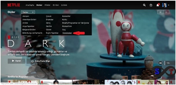 netflix türk dizileri