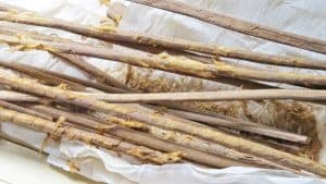 Bambu Çubuklar