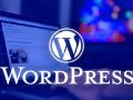 WordPress 5.4 Çıktı! İşte Yeni Gelen Özellikler