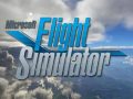 Microsoft Flight Simulator Sistem Gereksinimleri