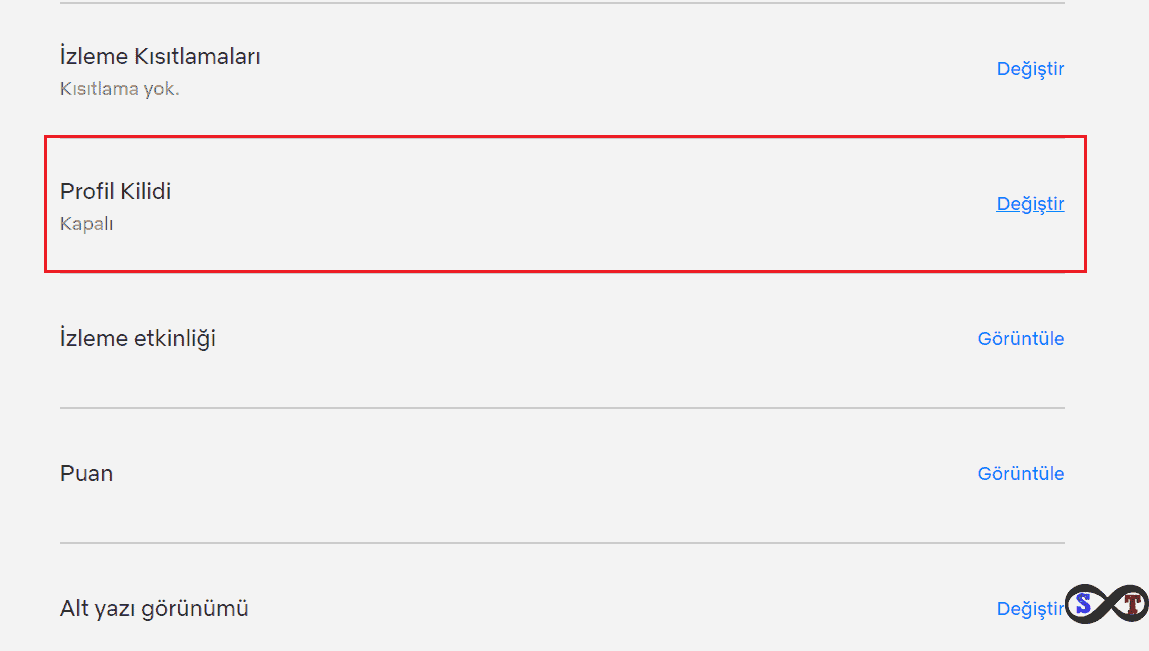 netflix profil kilidi