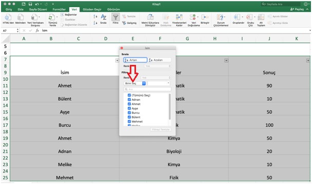 filtre seç excel