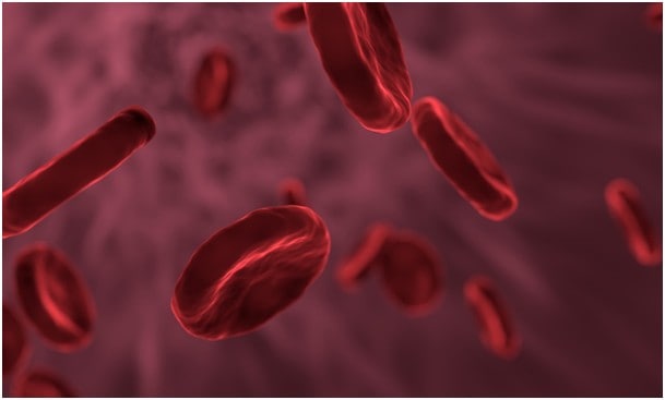 görünmez adam hücre