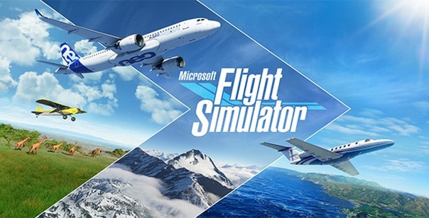 Flight Simulator