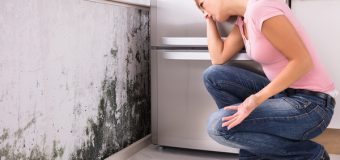 Evdeki Nemin Nedenleri ve Çözümleri?