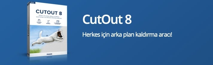 CutOut 8