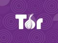 Tor Tarayıcısı Güvenli Midir?