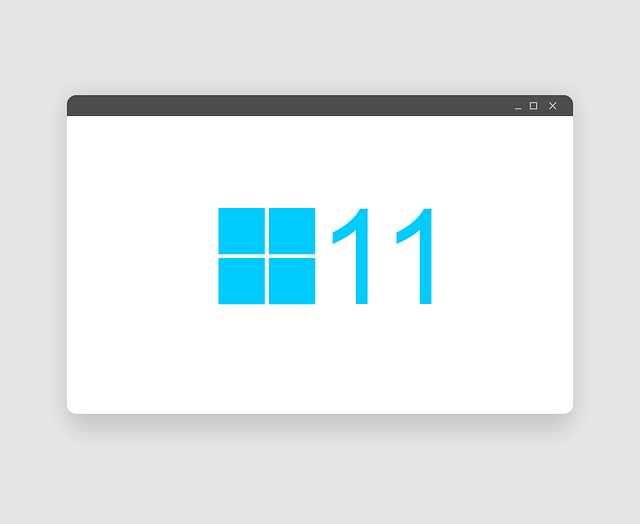 Windows 11 Ürün Anahtarı